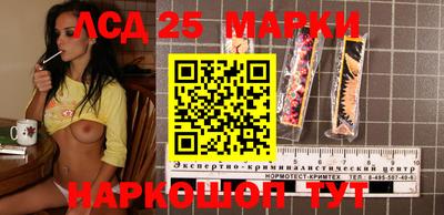 гидропоника Тверь