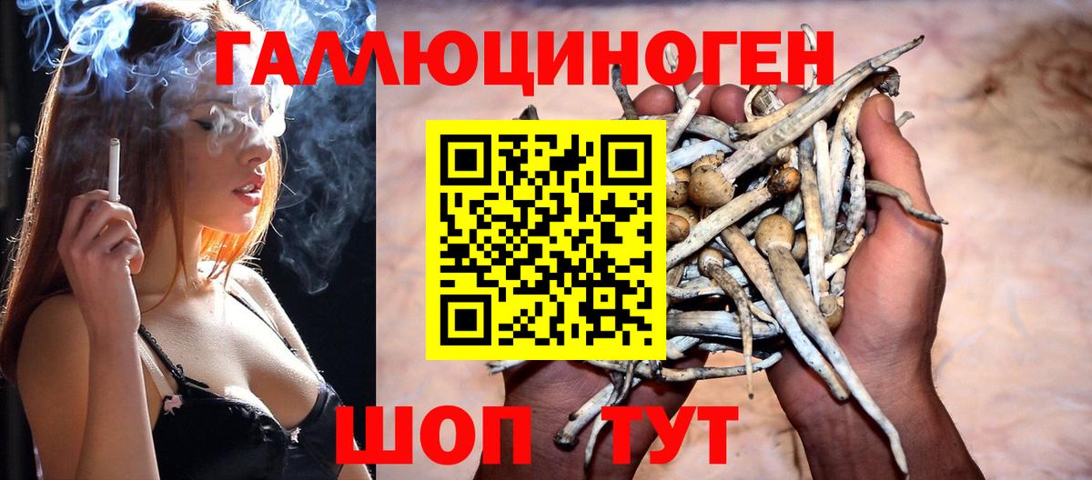 Псилоцибиновые грибы ЛСД Нурлат