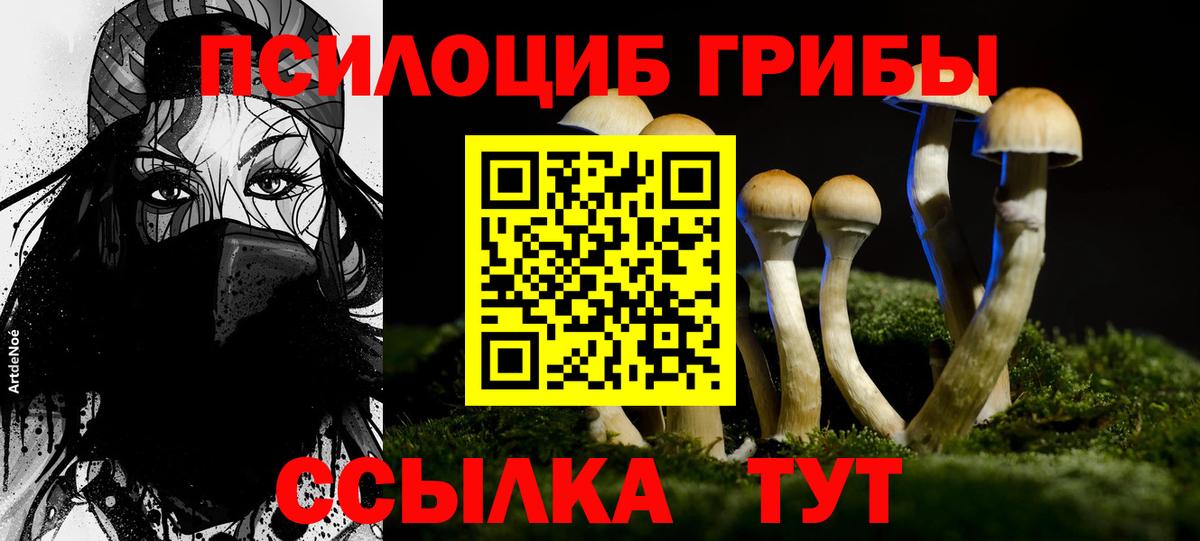 Псилоцибиновые грибы GOLDEN TEACHER  Псилоцибиновые грибы Cubensis  Нурлат  Вход с VPN 